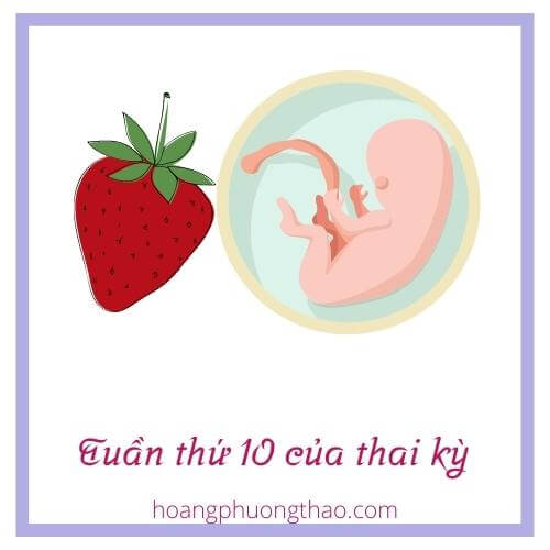 tuan-thu-10-cua-thai-ky